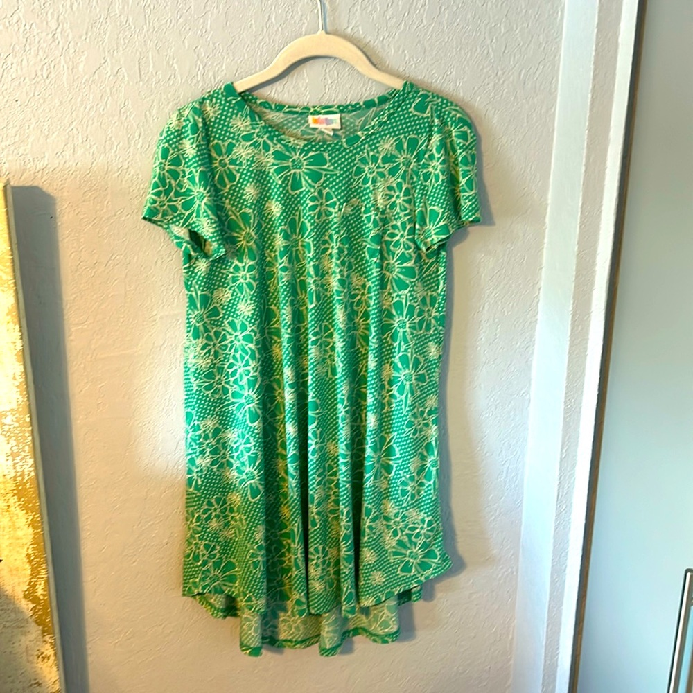 Lularoe Size 10 dress